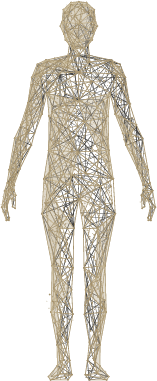 ανθρώπινο σώμα