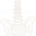ορθοπεδικές επιστήμες