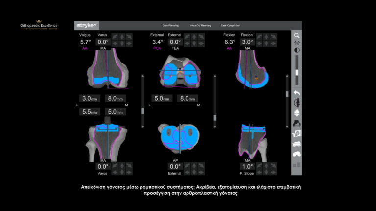 arthropladtiki gonatos